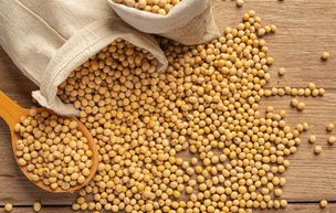 Уряд запровадив щомісячний моніторинг експорту сої та ріпаку