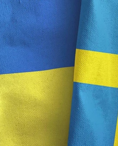 Доступні гранти: до 2 млн шведських крон для українсько-шведської співпраці