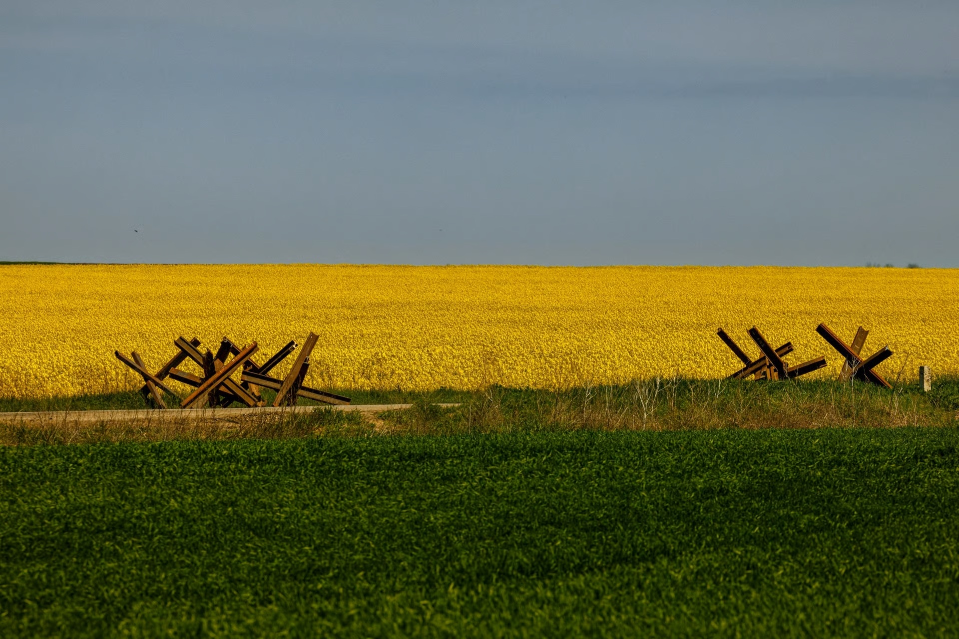 field_war_ukraine
